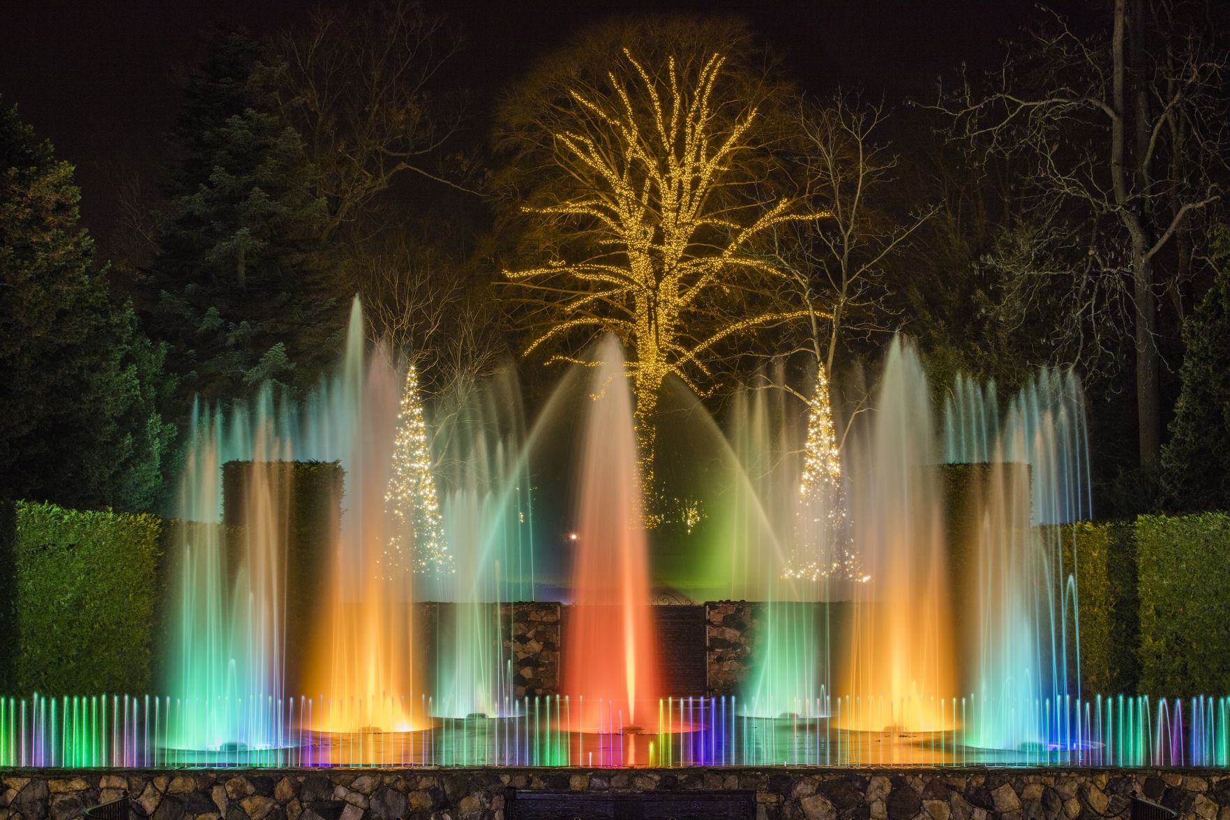 Longwood at night 3